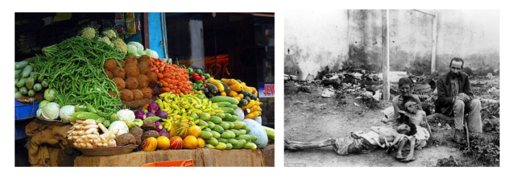 kommunisme en voedsel