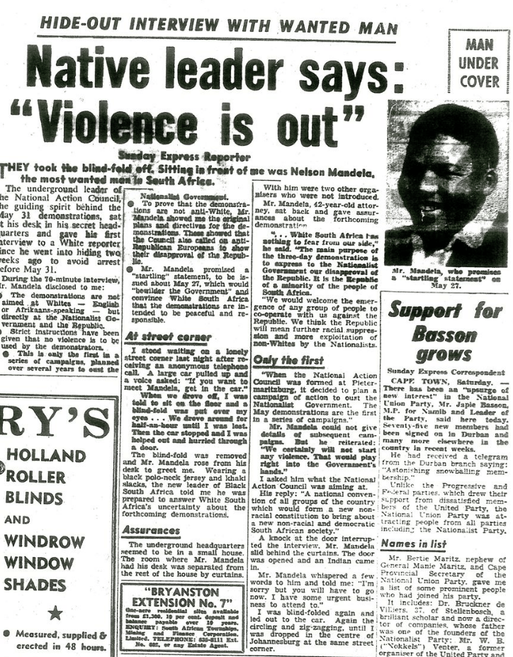 Mandela pimpernel.PNG