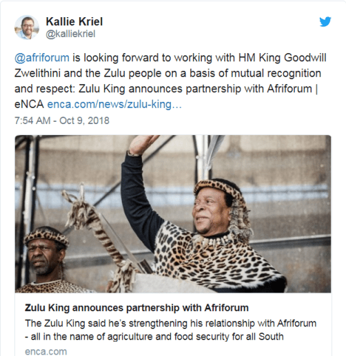 kallie zwelithini