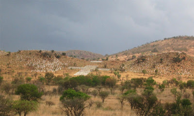 Image result for white crosses photo south africa