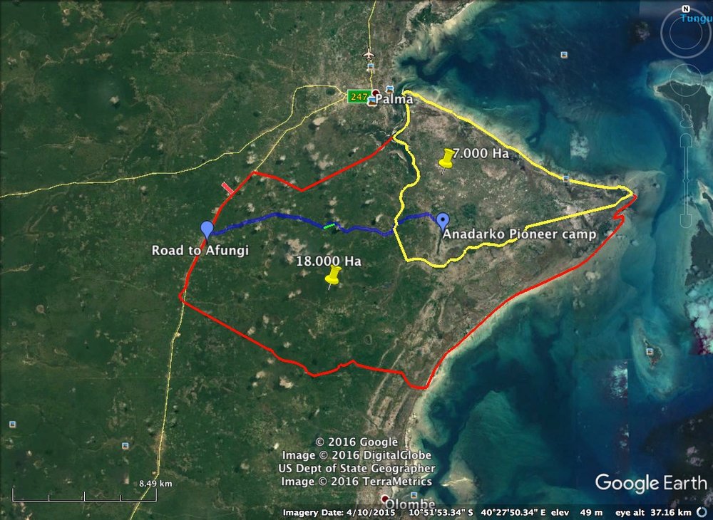 THE PLANS FOR PALMA — Palmaland