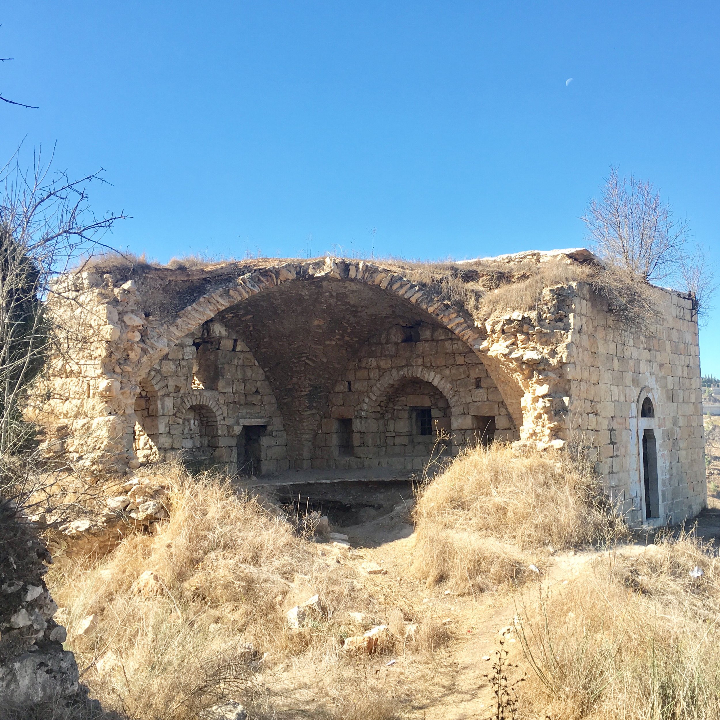 Harry A - image_6483442.JPG